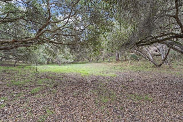 0 Campagna Way, Royal Oaks CA: https://media.crmls.org/mediaz/901dad9e-6a16-46d6-bee3-3fce09c7afb0.jpg