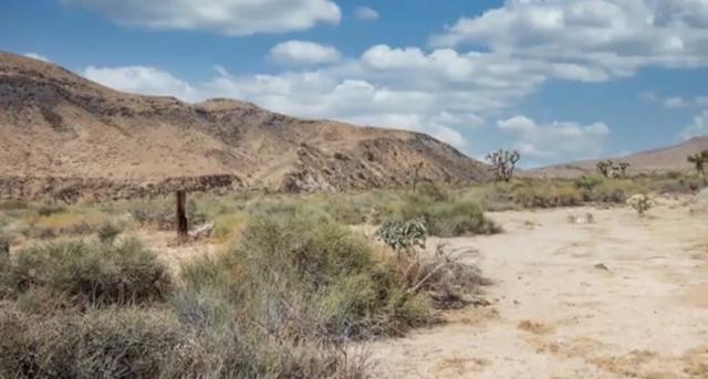 55455 Pipes Canyon, Pioneertown CA: https://media.crmls.org/mediaz/9024542a-565b-407e-9cf6-dc6020d29178.jpg