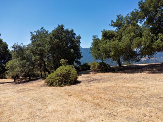57 Chamisal, Carmel CA: https://media.crmls.org/mediaz/90259b46-691d-4545-b290-529b414b700b.jpg
