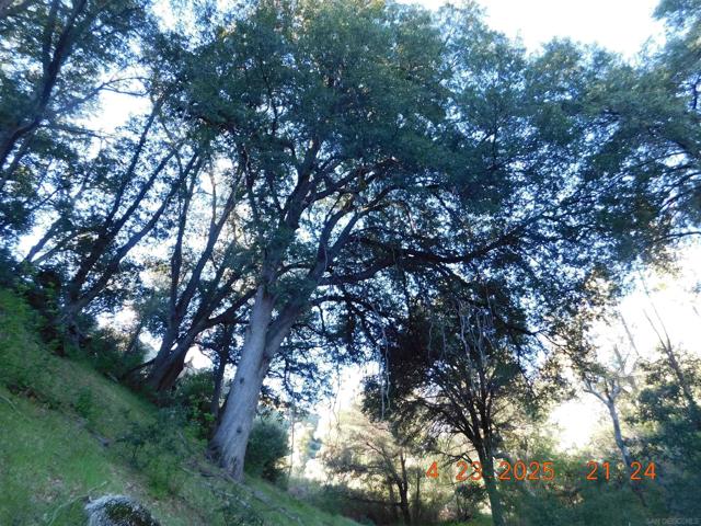 0 San Felipe Rd,  CA: https://media.crmls.org/mediaz/902e1520-949b-40d7-830e-2f3334f644d1.jpg
