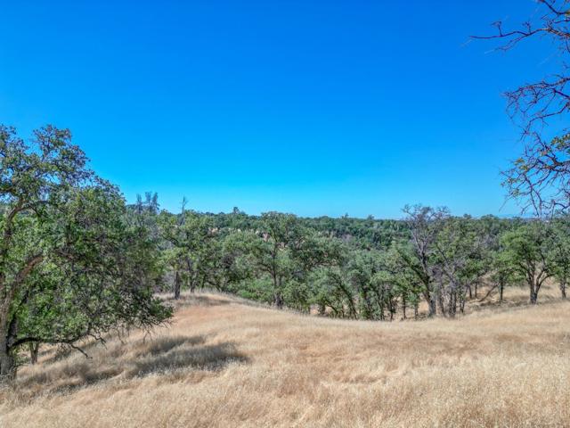 0 Wood Duck Pass Road, Red Bluff CA: https://media.crmls.org/mediaz/903256c6-ce79-4ec6-b131-57dc98a8e268.jpg