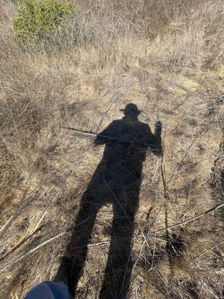 MLS #PTP2407091 image #19