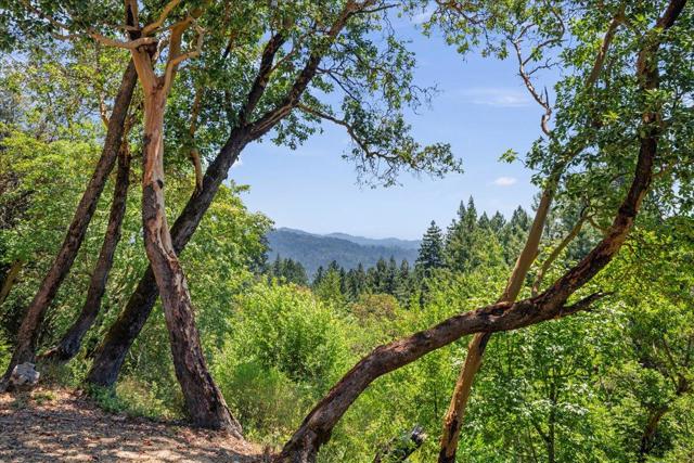 22196 Summit Road, Los Gatos CA: https://media.crmls.org/mediaz/9047c5d0-4fca-4fe1-ae17-a126eefa6ba0.jpg