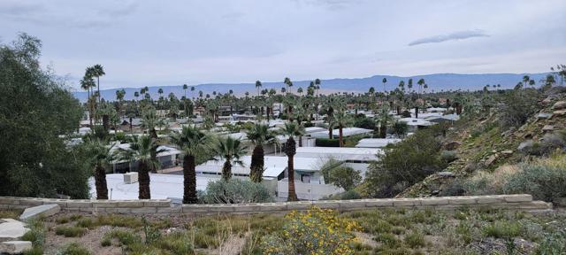 257 Del Mar, Palm Springs CA: https://media.crmls.org/mediaz/904cead0-c2ec-44fa-8724-6c78e1687efb.jpg