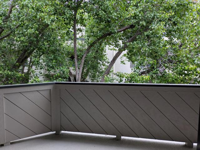25938 Kay Avenue, Hayward CA: https://media.crmls.org/mediaz/905f31d4-5a90-47cd-aab2-59be2953b682.jpg