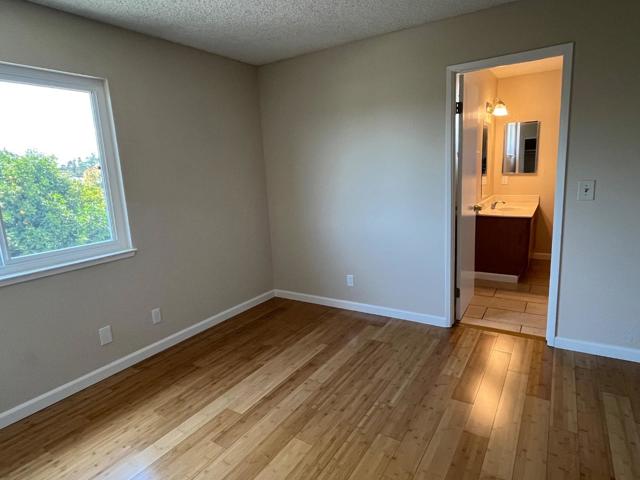 1037 Evans Court, Hayward CA: https://media.crmls.org/mediaz/9062de66-4d2c-4acf-b6bb-58dfeb55b27a.jpg