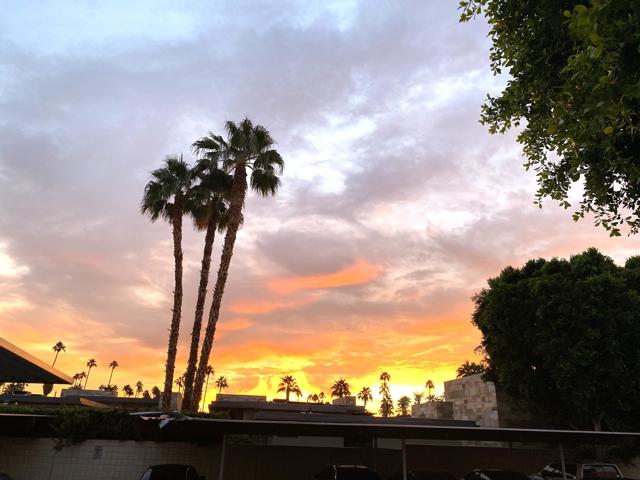 1490 S Camino Real, Palm Springs CA: https://media.crmls.org/mediaz/906bce0d-753c-4a8b-95c3-08f5d4d530c6.jpg