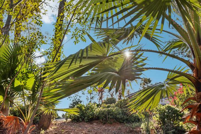 26086 Bear Valley Heights Road, Escondido CA: https://media.crmls.org/mediaz/906db816-5748-4e05-972a-f08729fb0808.jpg