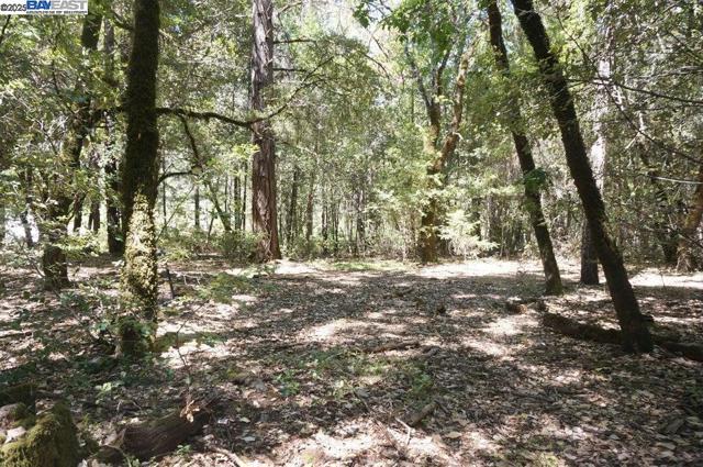 800 Suzy Q Rd, Salyer CA: https://media.crmls.org/mediaz/907064e3-c850-479c-8eaf-acfd06c8cf35.jpg