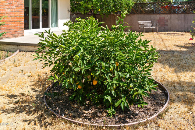 6449 Quakertown Avenue, Woodland Hills CA: https://media.crmls.org/mediaz/90731750-e67d-484c-ab87-c56f965bfb8a.jpg