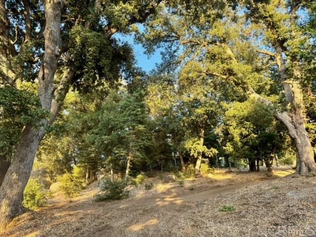 Detail Gallery Image 25 of 37 For 10 Acres Greenfield Way, Palomar Mountain,  CA 92060 - – Beds | – Baths