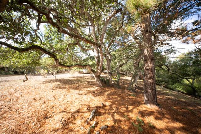 18221 Berta Canyon Road, Salinas CA: https://media.crmls.org/mediaz/907799df-c61d-4583-8d75-a39b7b6053f9.jpg