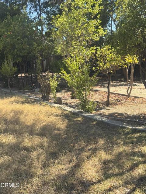 238 W Le Roy Avenue, Arcadia CA: https://media.crmls.org/mediaz/907f715b-270f-4bb2-b427-014afbf47a63.jpg