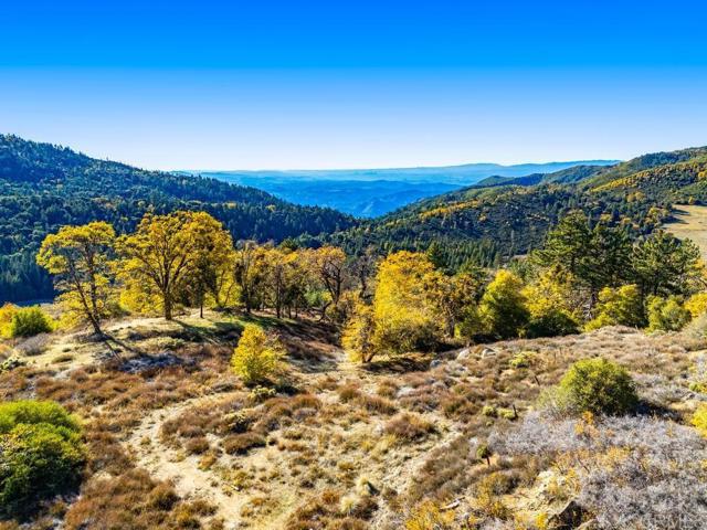 Detail Gallery Image 19 of 33 For 0 State Park Rd, Palomar Mountain,  CA 92060 - – Beds | – Baths