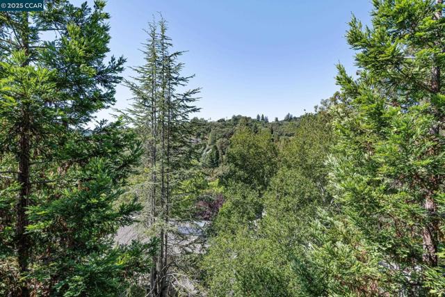 1149 Camino Vallecito, Lafayette CA: https://media.crmls.org/mediaz/908aab32-b849-47e6-8f67-34629269ca66.jpg