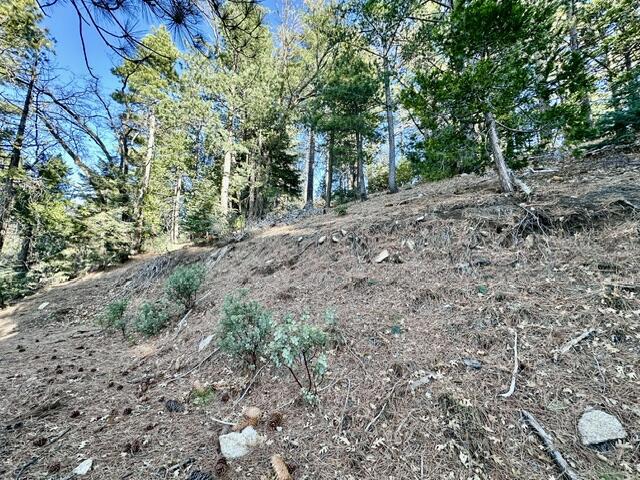 MLS #219130341DA img 2