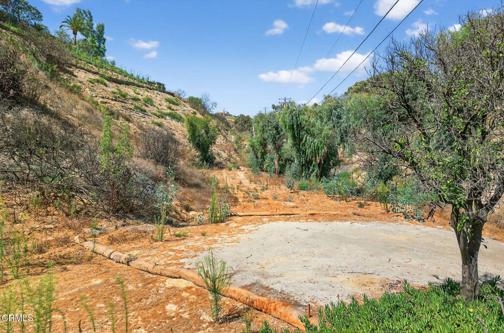 MLS #V1-32289 image #5