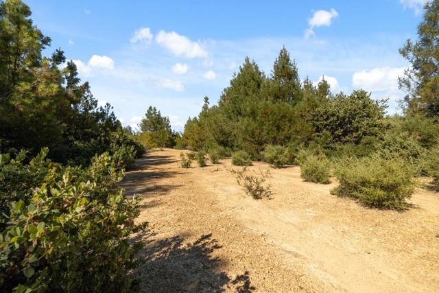 0 Summit Road, Los Gatos CA: https://media.crmls.org/mediaz/909bd36e-bc13-482a-b7c4-7484eba1c6b2.jpg