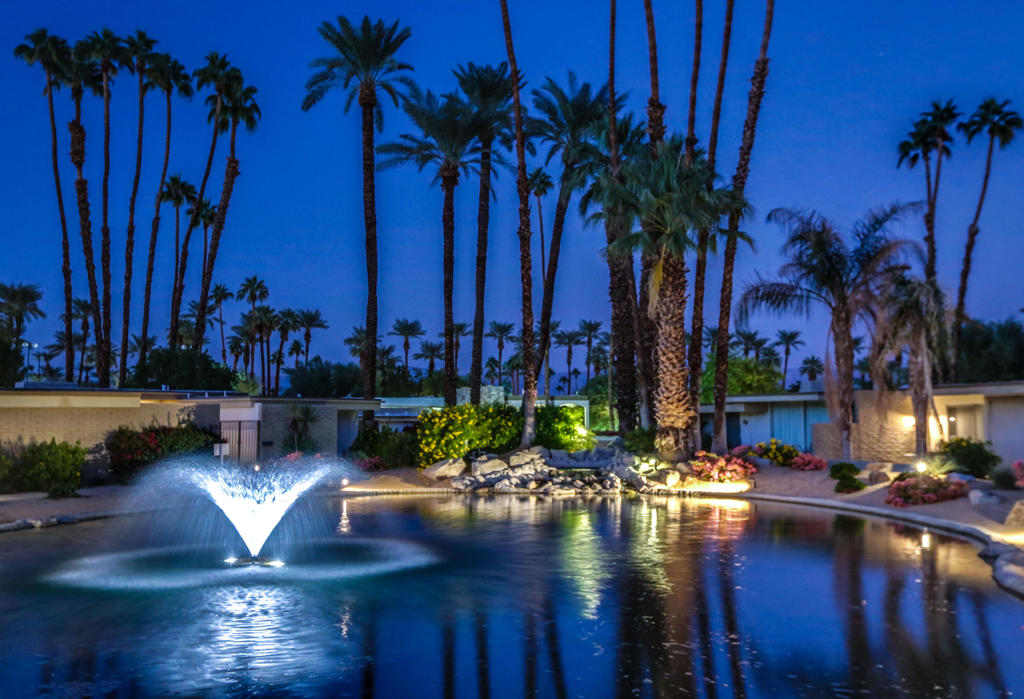 MLS #219138254DA image #56