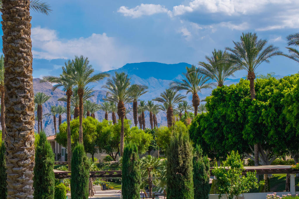 MLS #219137535DA image #40