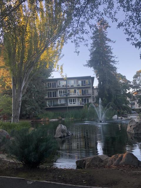 940 Peninsula Avenue, San Mateo CA: https://media.crmls.org/mediaz/90dc3383-278e-4f64-b810-34e073a9cf64.jpg
