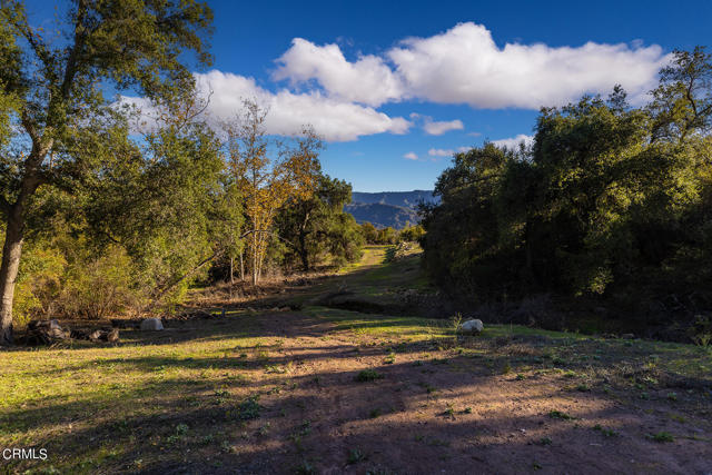 380 Valley View Road, Ojai, California 93023, ,Land,For Sale,380 Valley View Road,CRV1-21530