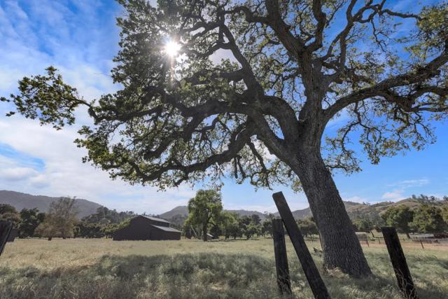 770 Limekiln Road, Hollister CA: https://media.crmls.org/mediaz/90dedc78-0730-4269-879e-8b434aa1ebee.jpg