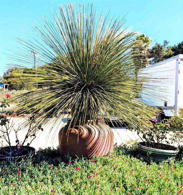 Detail Gallery Image 60 of 64 For 6951 W Lilac Rd, Bonsall,  CA 92003 - 3 Beds | 2 Baths