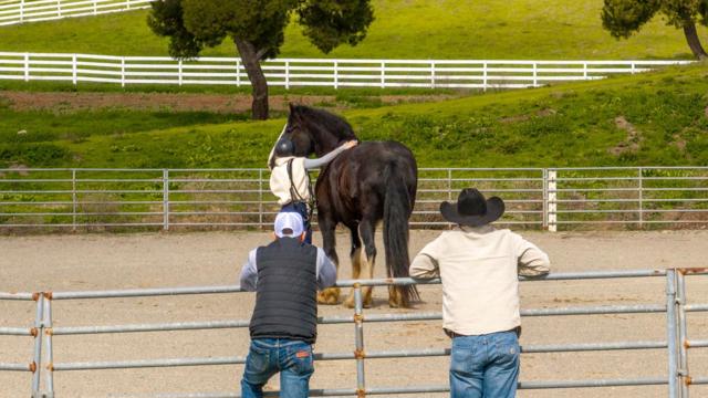 6033 Dagnino Road, Livermore CA: https://media.crmls.org/mediaz/90e56792-298c-4862-802b-b116e06fa963.jpg