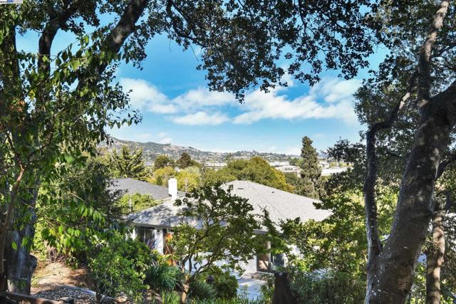 148 Auburn St, San Rafael CA: https://media.crmls.org/mediaz/90f17b25-d955-4655-969c-d0df5eff7fe9.jpg