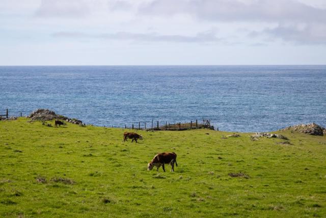 37305 Highway 1, Carmel CA: https://media.crmls.org/mediaz/90f8b94f-5a3e-497b-934d-cddefea0e595.jpg
