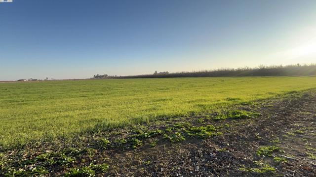 1290 Orange Ave, Patterson CA: https://media.crmls.org/mediaz/90f98fa8-263f-4e31-b6e6-b336053282dd.jpg