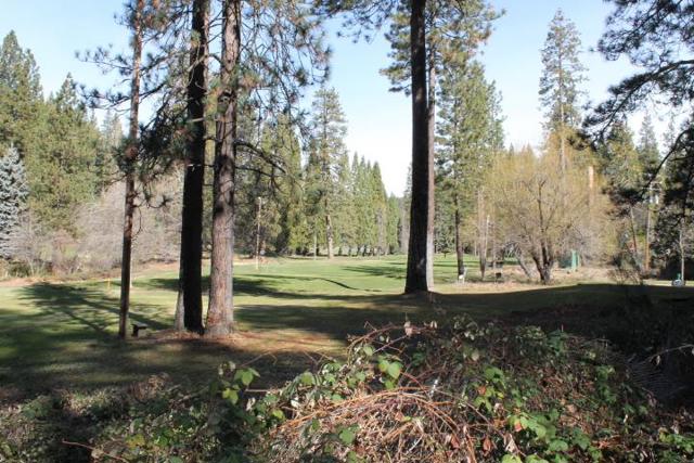 18861 Lookout Drive, Twain Harte CA: https://media.crmls.org/mediaz/910c3ced-d47e-4b01-8aa4-ff099ca77543.jpg