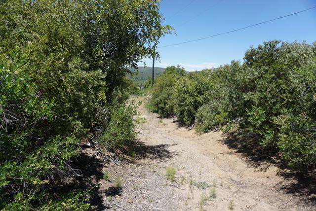 35419 Sunset Ln, Julian, California 92036, ,Residential Land,For Sale,Sunset Ln,PTP2403325