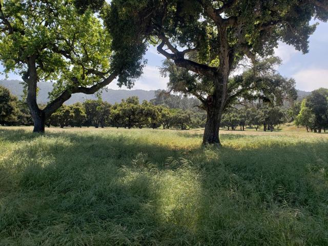770 Limekiln Road, Hollister CA: https://media.crmls.org/mediaz/910e44db-b198-4952-99b3-35566ba081e0.jpg