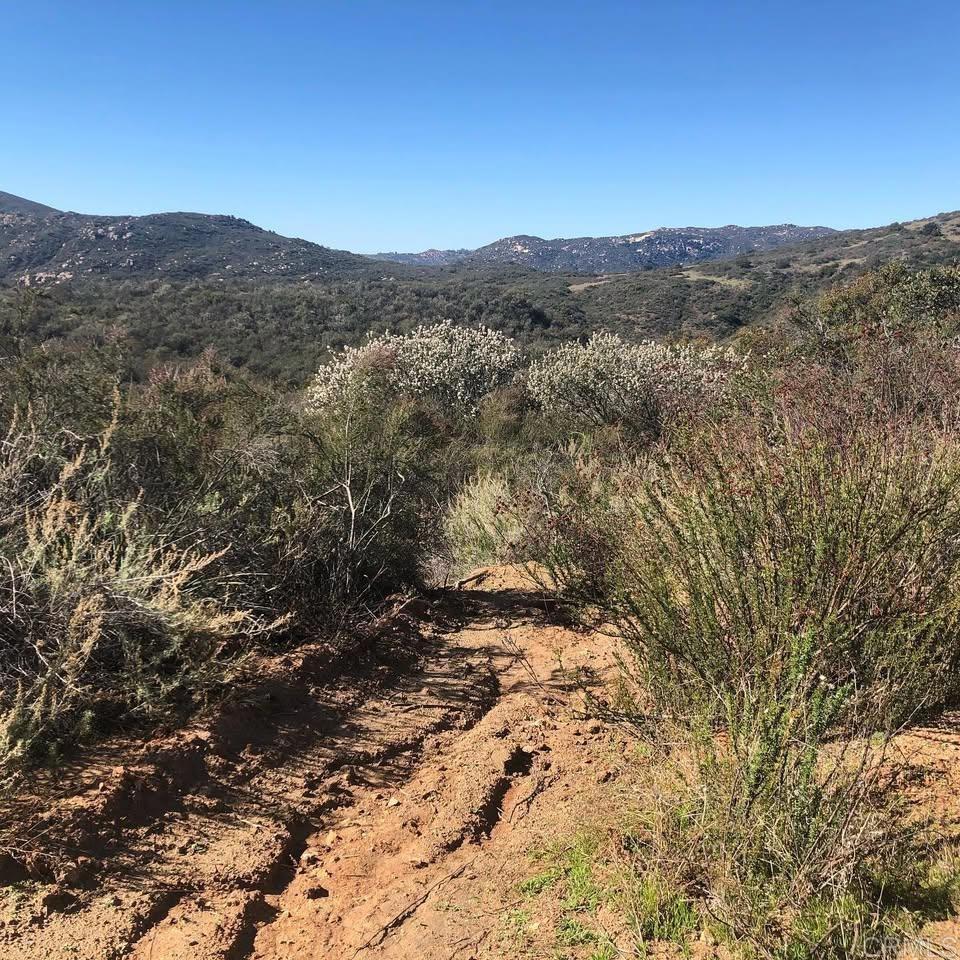 MLS #NDP2403618 image #13