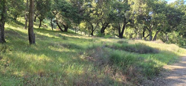 30010 Olivia Drive, Greenfield CA: https://media.crmls.org/mediaz/913718e5-7c87-4963-9cb9-512ec8f25817.jpg