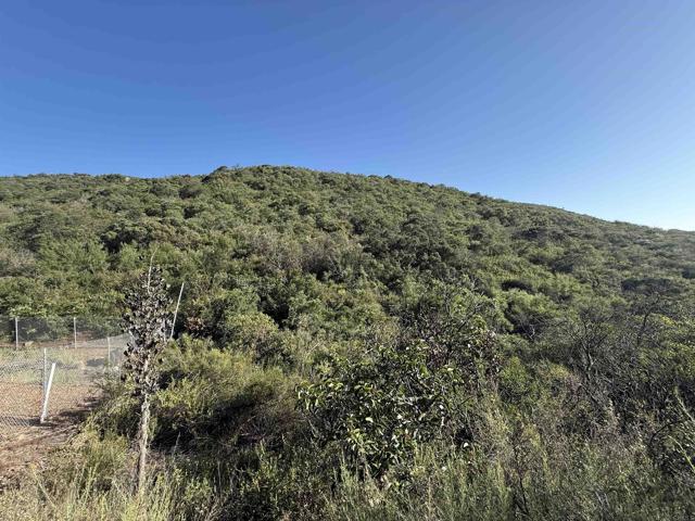 Detail Gallery Image 14 of 28 For Rainbow Glen Rd, Fallbrook,  CA 92028 - – Beds | – Baths