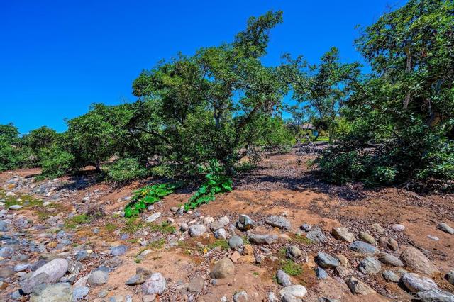 1272 Chateau Montelena, Bonsall CA: https://media.crmls.org/mediaz/9142f8be-df91-4e2a-91d4-5bd9167a126d.jpg