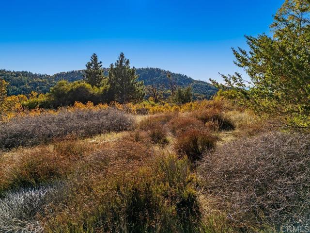 Detail Gallery Image 29 of 33 For 0 State Park Rd, Palomar Mountain,  CA 92060 - – Beds | – Baths