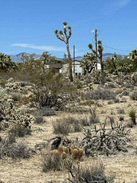 0 Sun Oro Road Road, Yucca Valley CA: https://media.crmls.org/mediaz/914addaa-22c4-470f-8daf-0d11a390118c.jpg