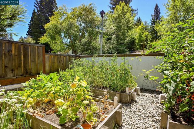 1023 White Gate Rd, Alamo CA: https://media.crmls.org/mediaz/915cd814-acf1-4627-99bf-9e9e1eb00897.jpg