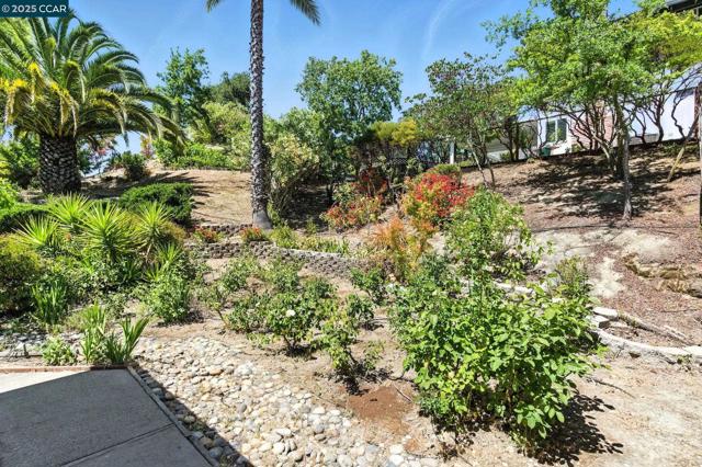 3824 Via Granada, Moraga CA: https://media.crmls.org/mediaz/916b8895-418b-498a-b6f8-9edde0aead81.jpg