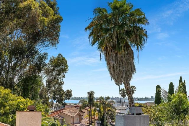 4533 Gesner St, San Diego CA: https://media.crmls.org/mediaz/916fd6c7-2772-4434-8637-2eabba9866fa.jpg