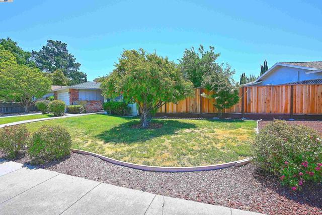 7144 Prince Dr, Dublin CA: https://media.crmls.org/mediaz/91714421-f4ce-4213-b31e-db1edb0f7512.jpg