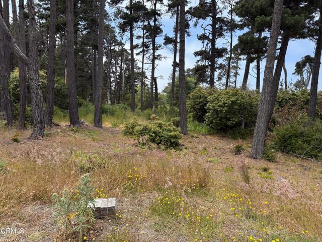 18391 Old Coast Highway, Fort Bragg CA: https://media.crmls.org/mediaz/91841284-a7f9-458e-9ba7-9b17cdad2a66.jpg