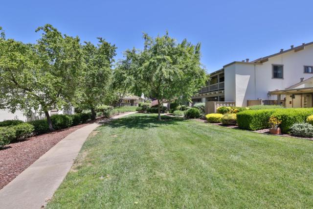 5111 Cribari Place, San Jose CA: https://media.crmls.org/mediaz/918684e9-722e-4bdd-af18-9629fc79688a.jpg