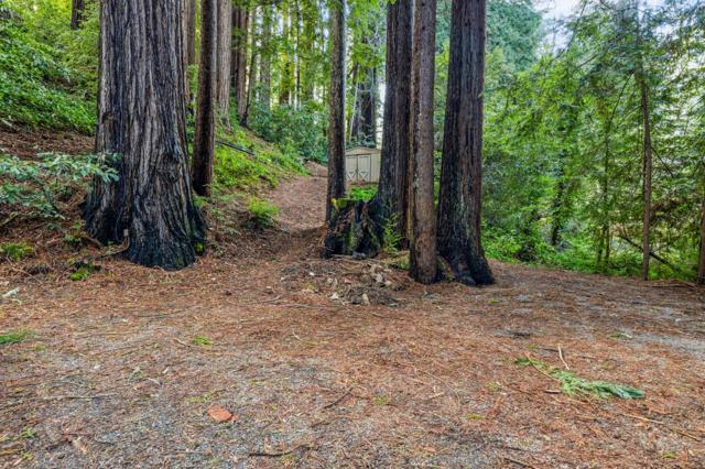 139 Redland Road, Woodside CA: https://media.crmls.org/mediaz/918a8216-43aa-4c2e-a0f1-6f8ae9ca828a.jpg