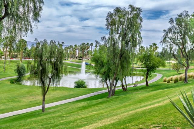 80086 Camino Santa Elise, Indio CA: https://media.crmls.org/mediaz/918eaff4-6eb6-4cfb-8e4d-da9d8c078e15.jpg