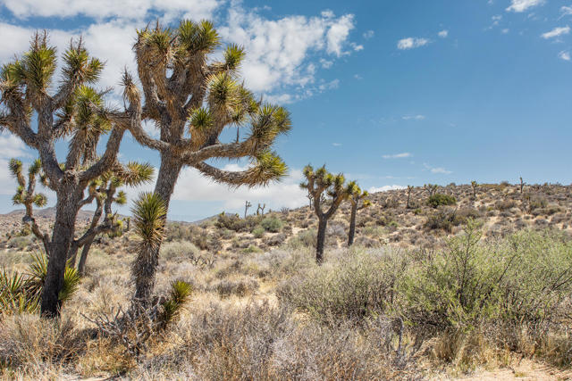 Image 12 of 26 For 101 Hondo Street